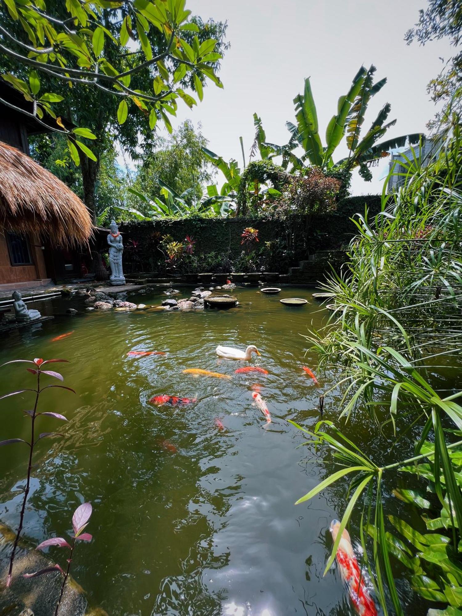 Villa Neshama ชังกู ภายนอก รูปภาพ