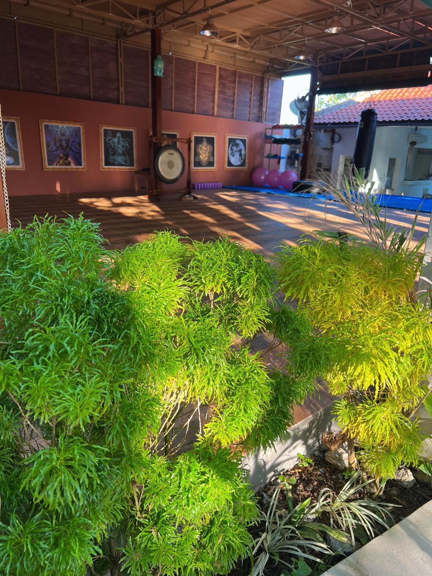 Villa Neshama ชังกู ภายนอก รูปภาพ
