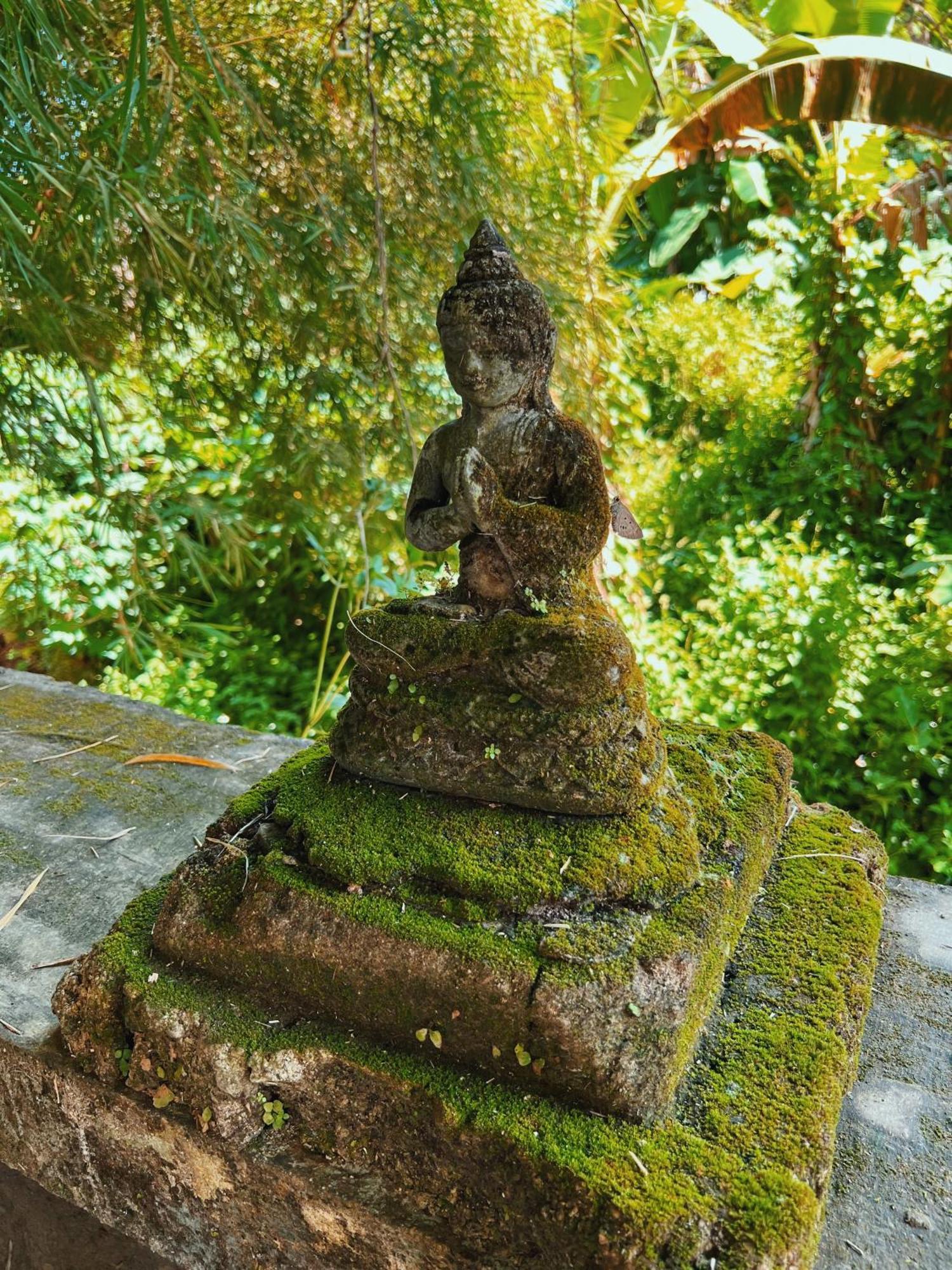 Villa Neshama ชังกู ภายนอก รูปภาพ