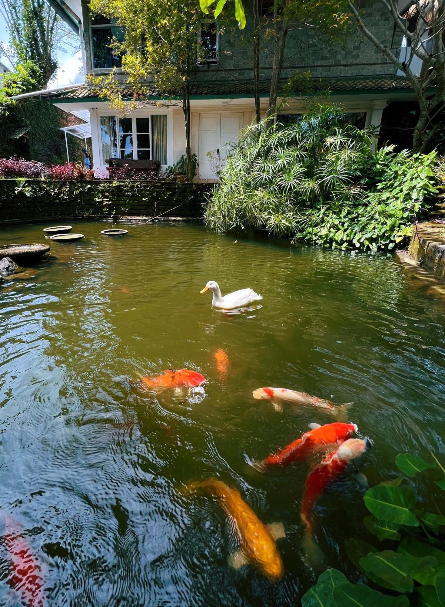Villa Neshama ชังกู ภายนอก รูปภาพ