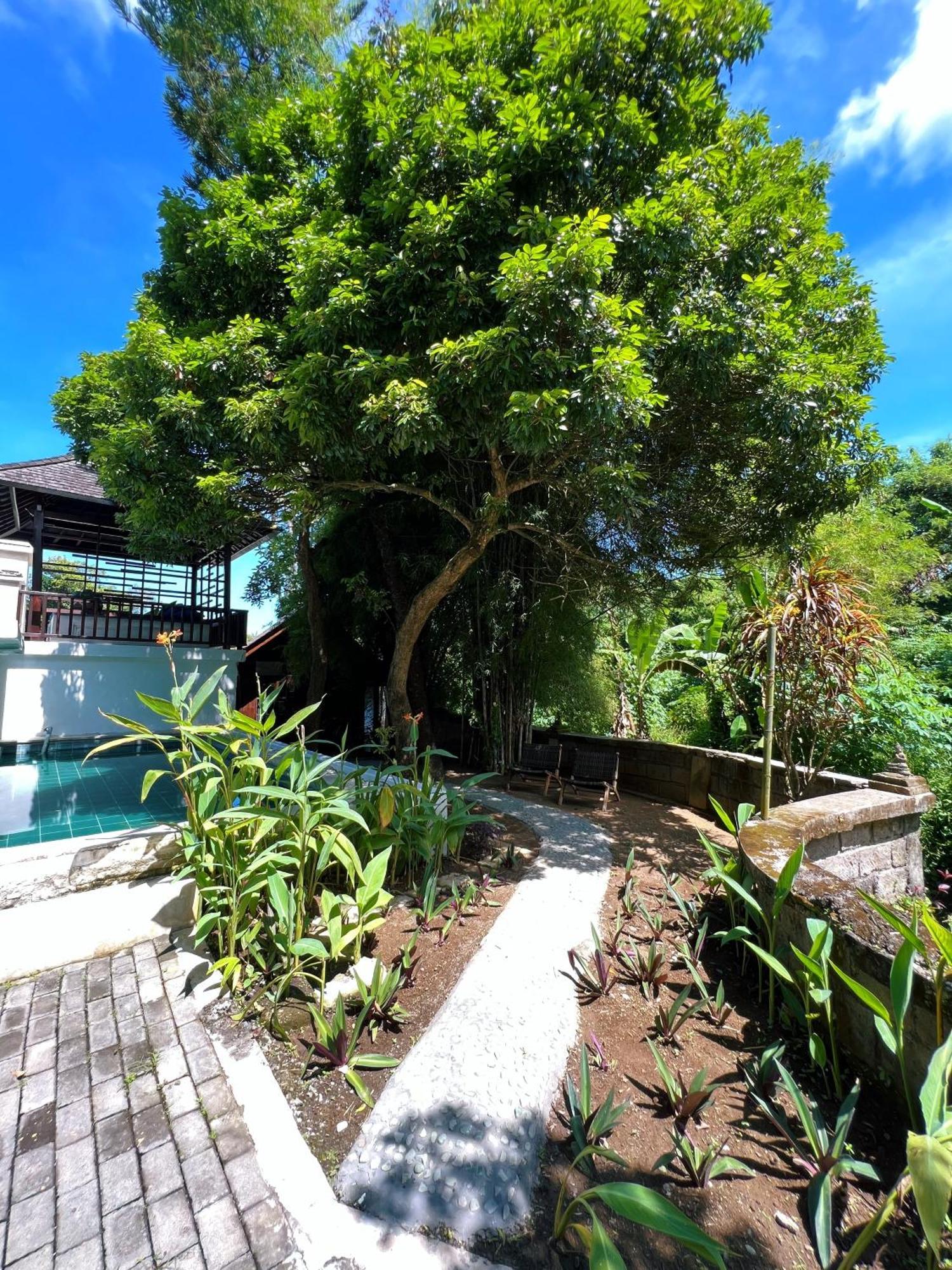 Villa Neshama ชังกู ภายนอก รูปภาพ