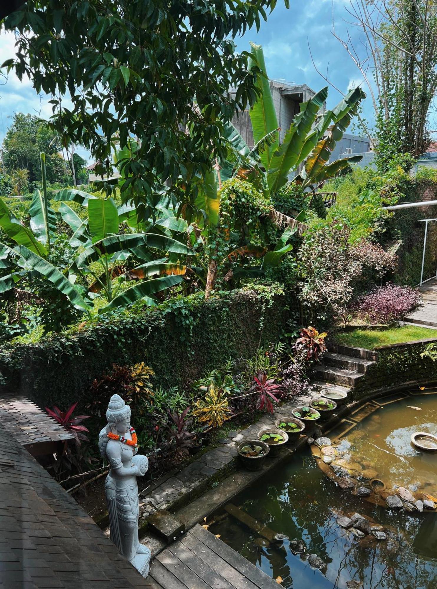 Villa Neshama ชังกู ภายนอก รูปภาพ