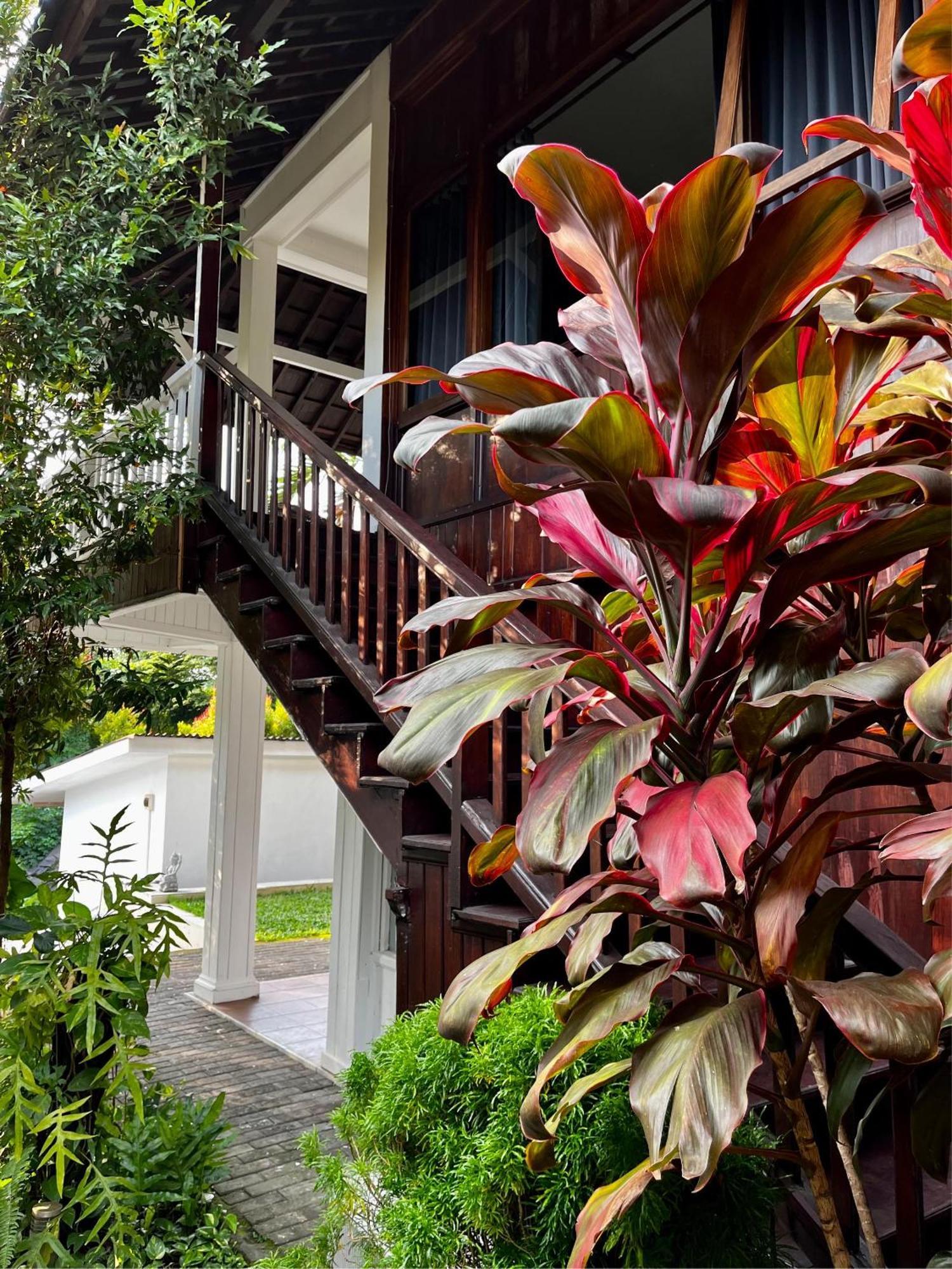 Villa Neshama ชังกู ภายนอก รูปภาพ