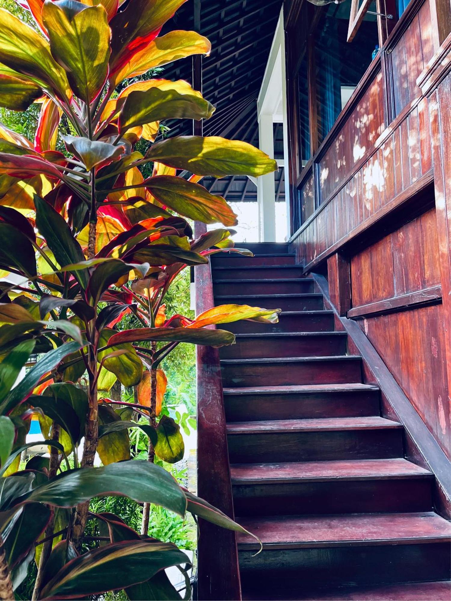 Villa Neshama ชังกู ภายนอก รูปภาพ